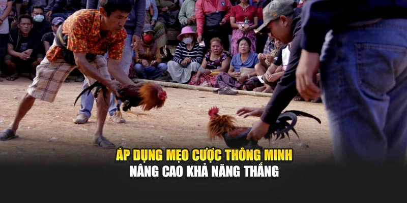 Áp dụng mẹo cược thông minh nâng cao khả năng thắng