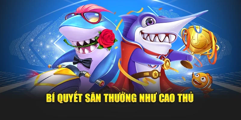 Bí quyết để săn thưởng như là cao thủ