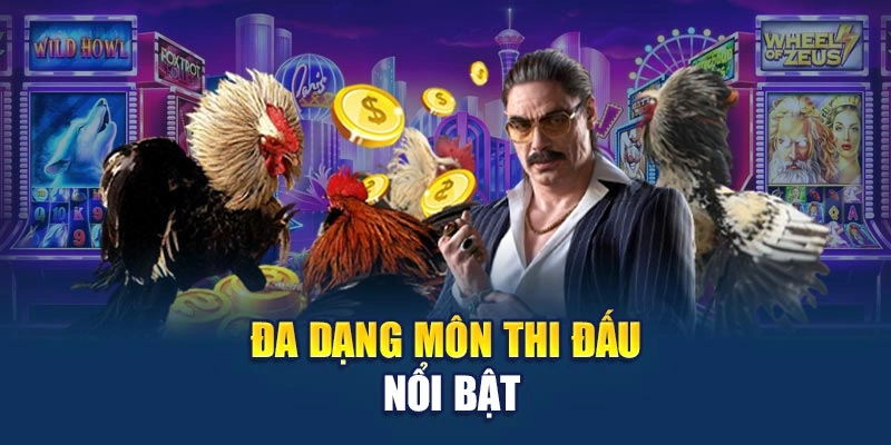 đa dạng môn thi đấu nổi bật