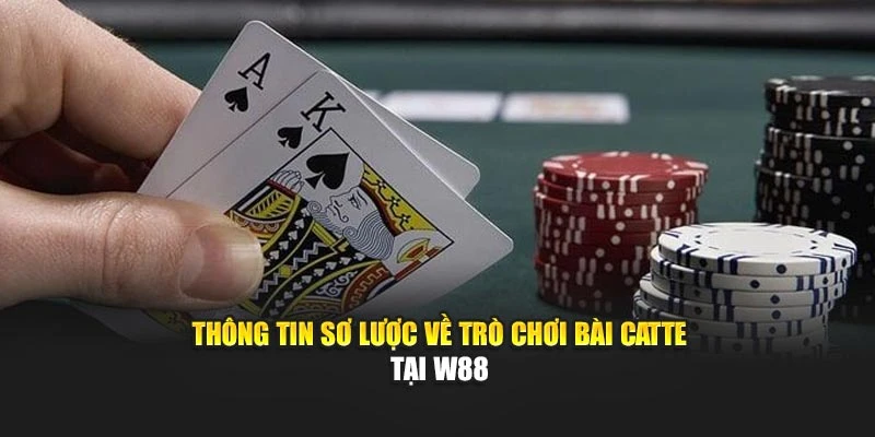 Thông tin sơ lược về trò chơi bài Catte tại W88