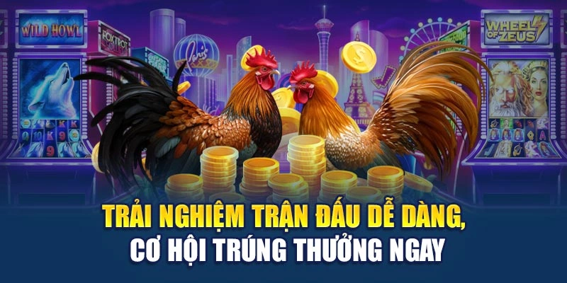 Trải nghiệm trận đấu dễ dàng, cơ hội trúng thưởng ngay