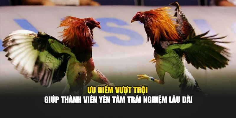 Ưu điểm vượt trội giúp thành viên yên tâm trải nghiệm lâu dài