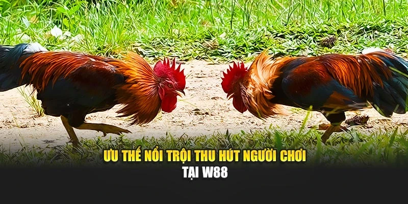 Ưu thế nổi trội thu hút người chơi tại W88